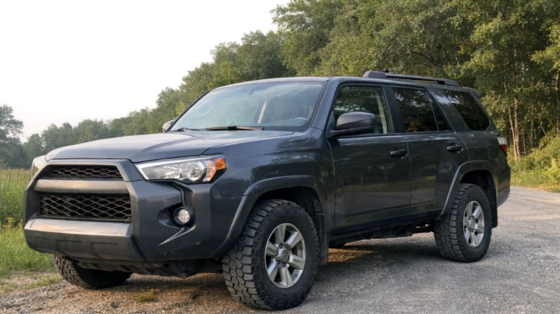 Motorimsg_01HNqNHFU7k3ptMD9GvEdDJ1"